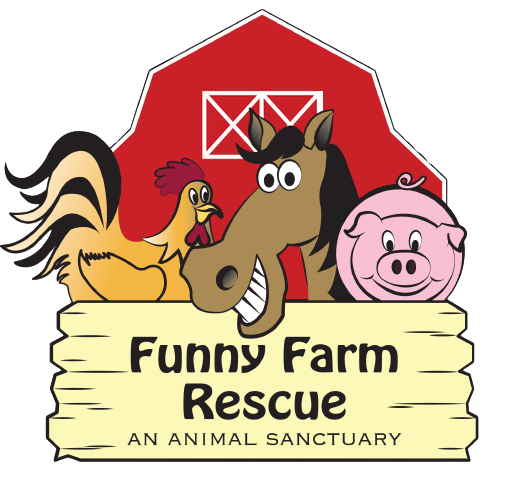 Home Page - Funny Farm Rescue