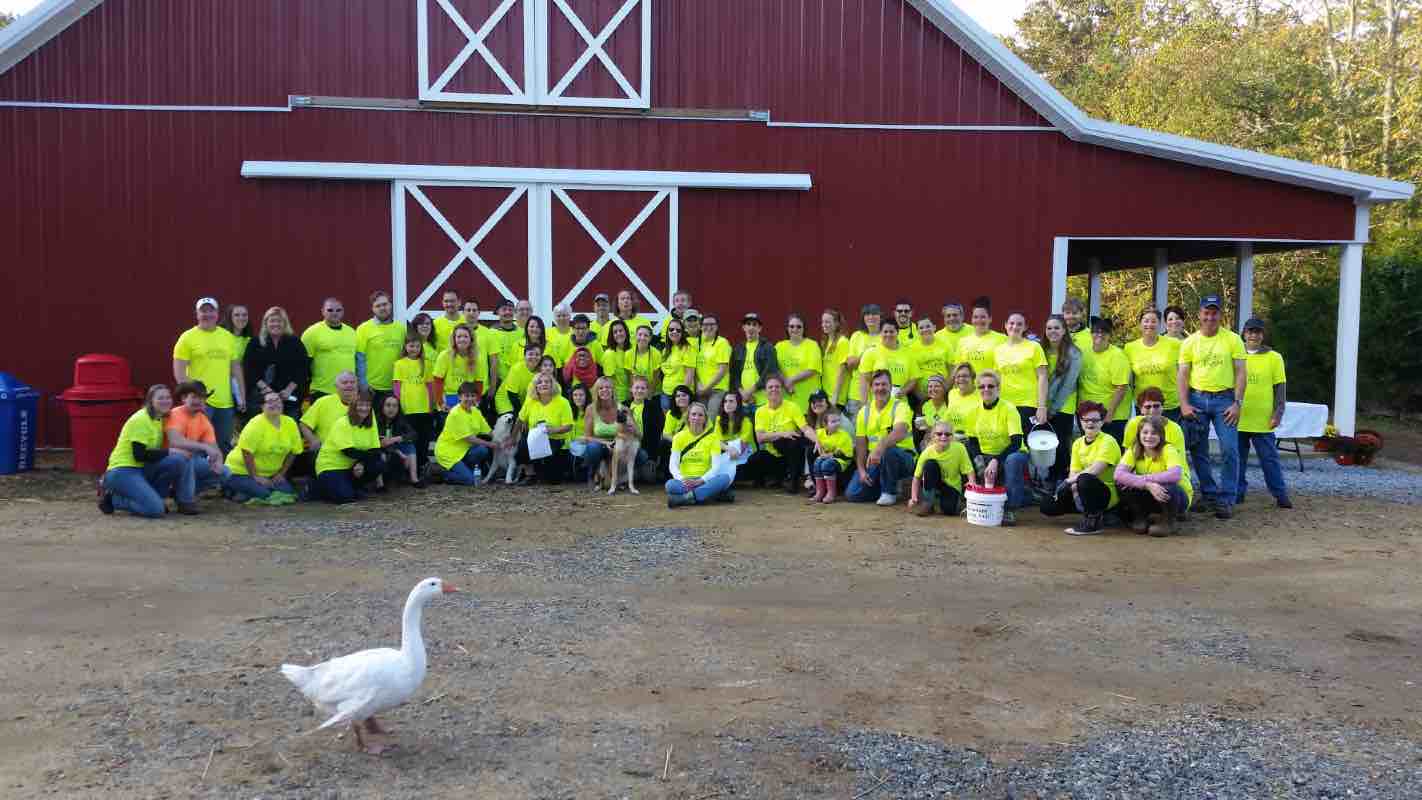 Volunteer Funny Farm Rescue