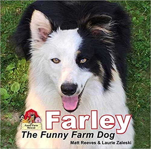 Farley The Funny Farm Dog