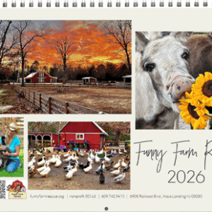 Funny Farm Rescue 2026 Calendar